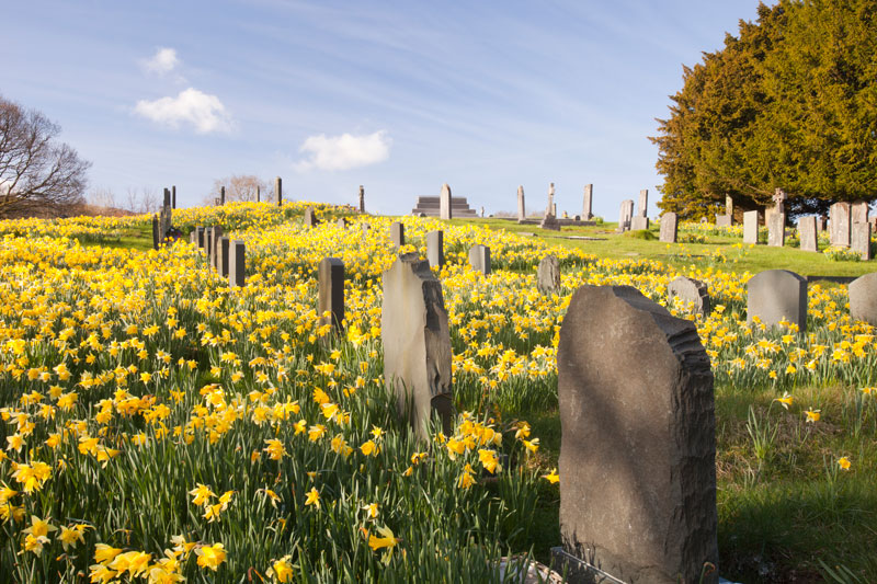 En kyrkogård med gravstenar och blommor.